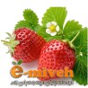 توت فرنگی