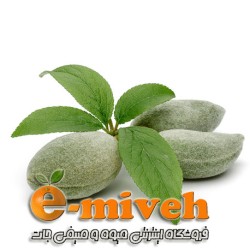 چغاله بادام