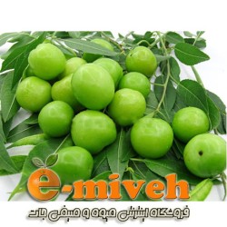 گوجه سبز