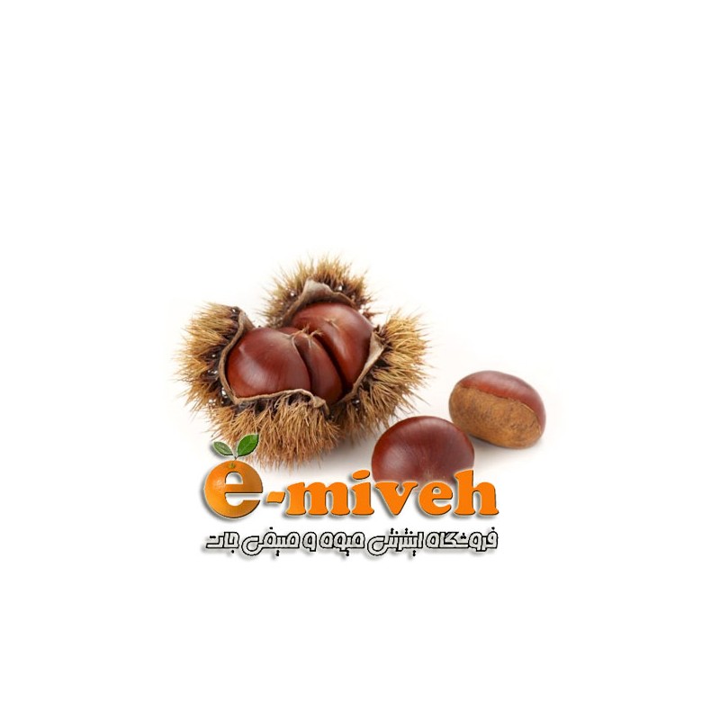 شاه بلوط