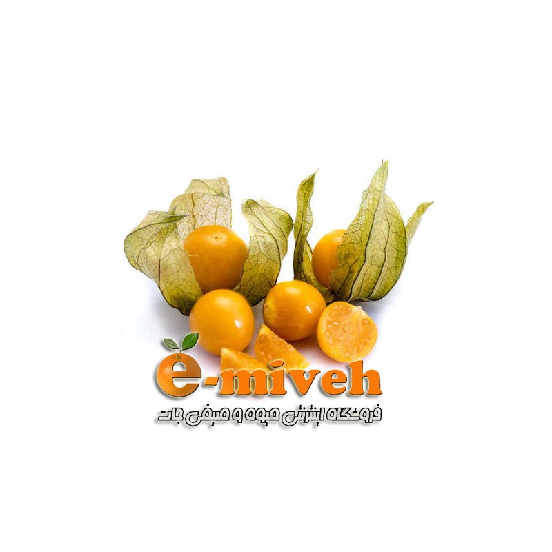 فیسالیس