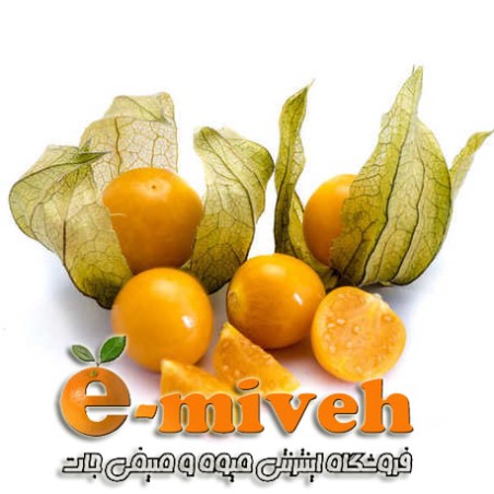 فیسالیس