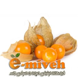 فیسالیس