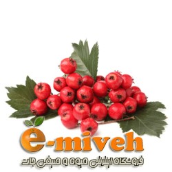 زالزالک