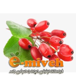 زرشک تازه