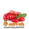 زرشک تازه