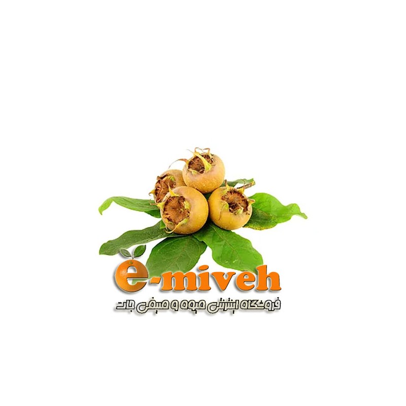 ازگیل