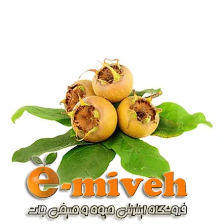 ازگیل