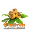 ازگیل