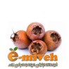 ازگیل