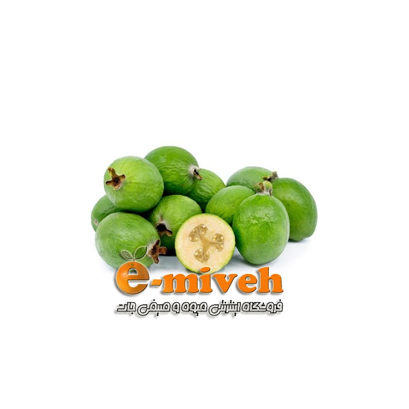 فوجیا