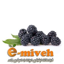 بلک بری