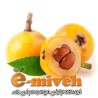 ازگیل ژاپنی