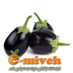 بادمجان دلمه