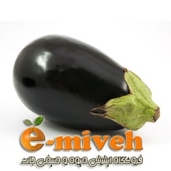 بادمجان دلمه