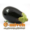 بادمجان دلمه