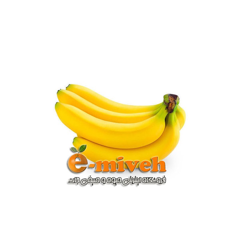 دفترچه یادداشت زرین بال