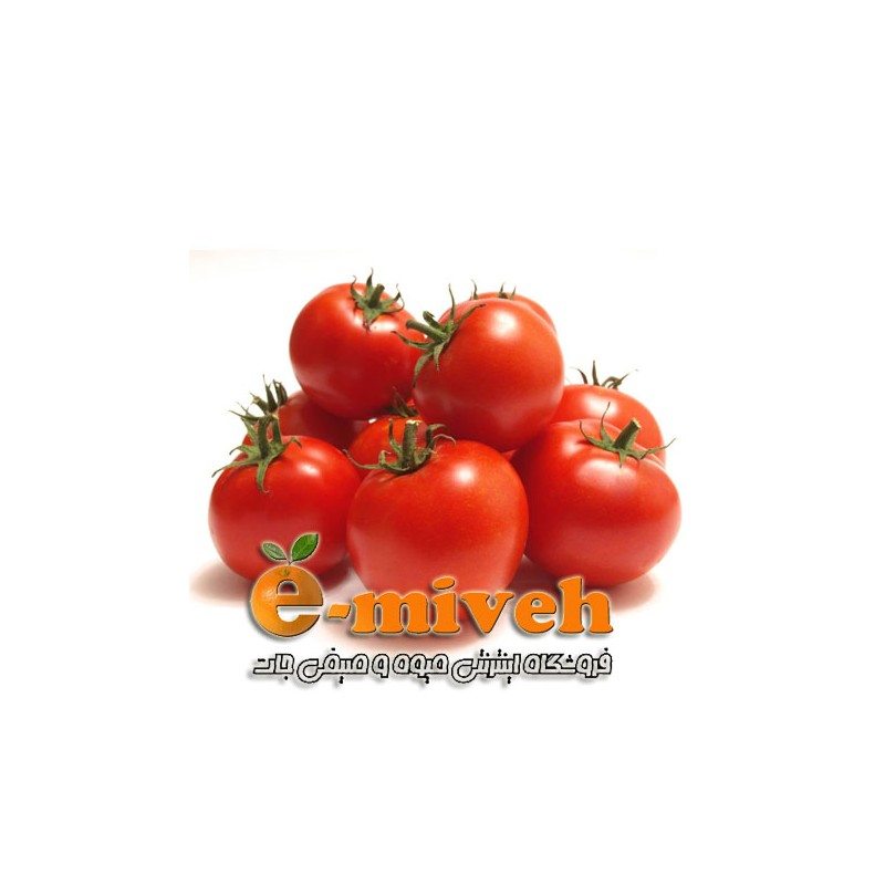 گوجه فرنگی