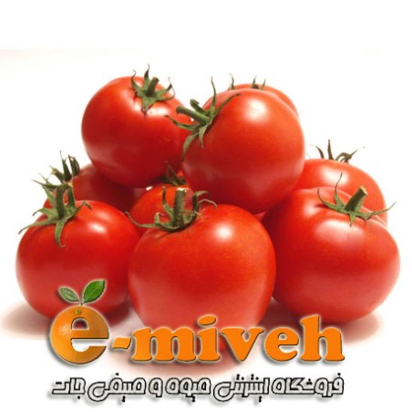 گوجه فرنگی