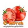 گوجه فرنگی