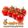 گوجه گیلاسی