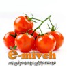 گوجه گیلاسی