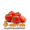 گوجه گیلاسی