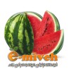 هندوانه