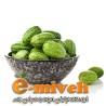 هندوانه ابوجهل