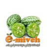 هندوانه ابوجهل
