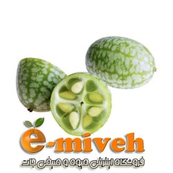 هندوانه ابوجهل