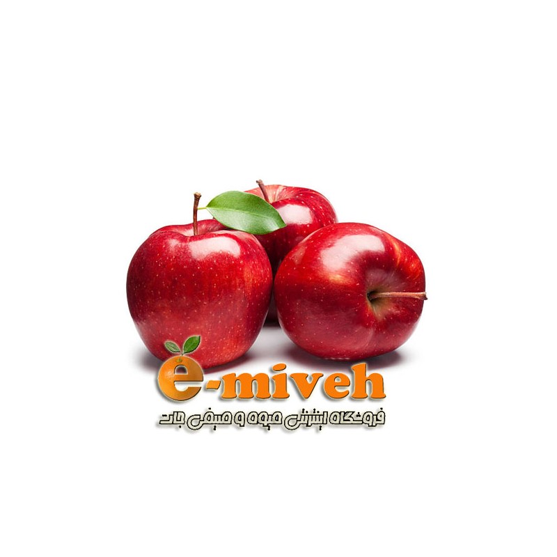 دفترچه یادداشت خرس قهوه ای