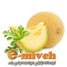خربزه گرمسار
