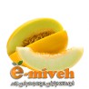 خربزه ایوانکی