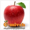 دفترچه یادداشت خرس قهوه ای