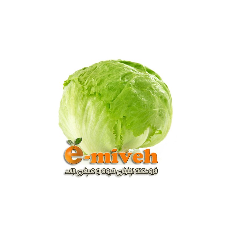 کاهو پیچ (سالادی)