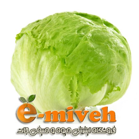 کاهو پیچ (سالادی)