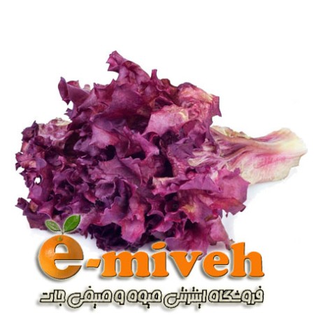 کاهو فرانسوی بنفش