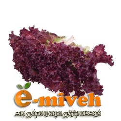 کاهو فرانسوی بنفش