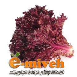 کاهو فرانسوی بنفش