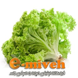 کاهو فرانسوی سبز