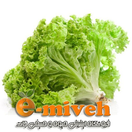 کاهو فرانسوی سبز