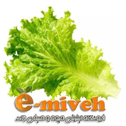 کاهو فرانسوی سبز