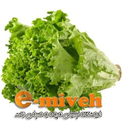 کاهو فرانسوی سبز