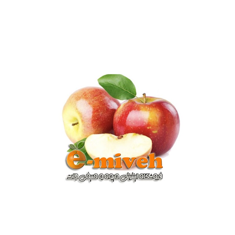 گرافیک وکتور - خرس قهوه ای