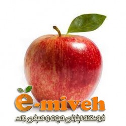 گرافیک وکتور - خرس قهوه ای