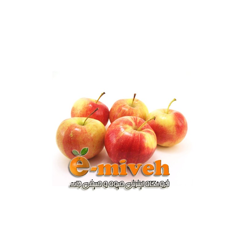 گرافیک وکتور - روباه کوهستانی