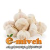 سیر تازه