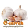 سیر تازه