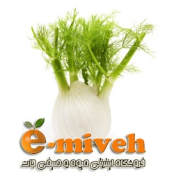 رازیانه